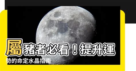 屬豬適合方位|【屬豬坐向】屬豬座向樓層超神準！住對吉房旺到翻！